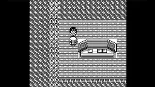 Pokemon Brown 20th Anniversary Part 25 Seashore City Gym