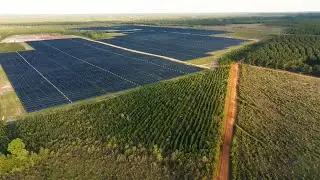 The Community Impact of Solar on Rayonier Land