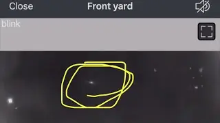 Ghost orb/spirit/entity caught on home surveillance camera!