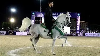 مفيش زيها مركز اول خيول مسجلة و ابراهيم غزال مهرجان الشرقية لأدب الخيول العربية 2025