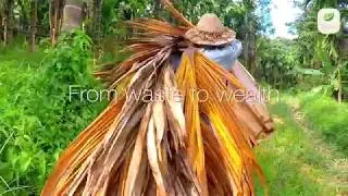 Fallaleaf Natural Dinnerware