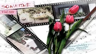 O2Mania: Sonatine #7-1