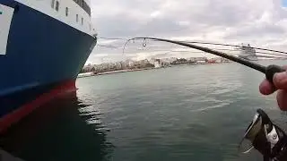 &psi;ά&rho;&epsilon;&mu;&alpha; 2023 LRF &tau;&omicron; &pi;&rho;&omega;ί &sigma;&alpha;&nu; &pi;&alpha;&sigmaf; &tau;&omicron; PORTO LEONE &sigma;&chi;&epsilon;&delta;ό&nu; &pi;ά&nu;&tau;&alpha; &pi;&lambda;&eta;&rho;ώ&nu;&epsilon;&iota; &alpha;&nu; έ&chi;&epsilon;&iota;&sigmaf; &upsilon;&pi;&omicron;&mu;&omicron;&nu;ή(spoiler)