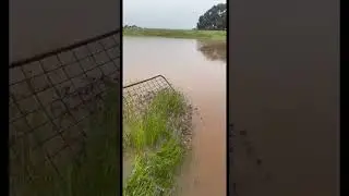 2022 rainfall