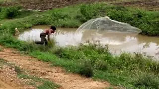 cambodia all net fishing ▶Khmer cast net fishing - Cambodia traditional fishing #112