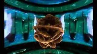 Shamanic Ayahuasca Visions