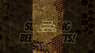 4 Bee Products You Need to Know! | Immune Support | Brain Function