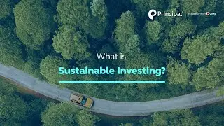 What is Sustainable Investing?