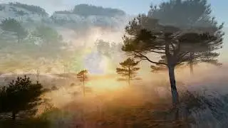Radiance of Day #7 Incarnations of Immortality (AI Music Video)