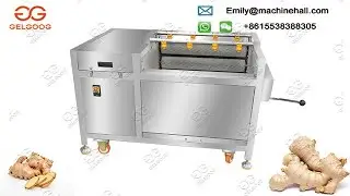 Ginger Washing and Peeling Machine[How to Wash and Peel Ginger]