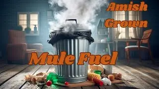 Mule Fuel from Amish Grown