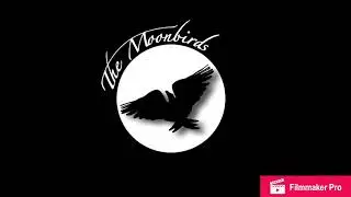 The Moonbirds - Don&rsquo;t Run