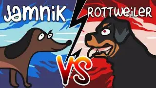 jamnik waleczne serce - bezsens