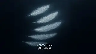 7Magpies - Silver (Future Bass)