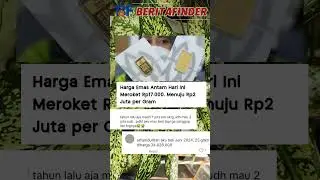 #hargaemas #emasantam #beliemas #beritaviral #infojkt #infojabar #infojatim #fyp #sorotan #infoviral
