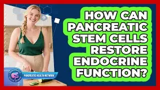 How Can Pancreatic Stem Cells Restore Endocrine Function? - Pancreatic Health Network