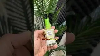 I Made Perfume From Oranges 🍊✨