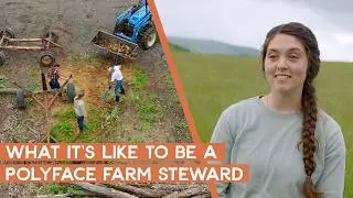 What It's Like to be a Steward & Apprentice at Joel Salatin's Polyface Farms