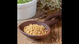Low Carb Appetite Control Fenugreek seeds TBC herbal tea cut Fenugreek seeds tea cut