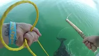 Self Guided fishing trip