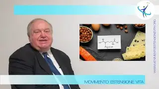 La L-Arginina e il suo ruolo nella produzione di ossido nitrico