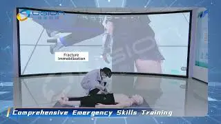Integrated Pre-hospital Emergency Simulation Training System