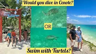 Swimming with Turtles| Tulum Mexico| Best Cenotes in Tulum| Adventures in Mexico|Ep5 4K 2024