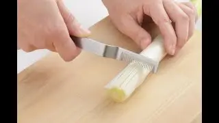This Japanese Tool Makes Perfect Leek Shreds in Seconds | Eatoco SAKU Review