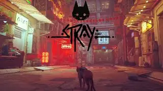 Krush plays Stray Ep 4:  