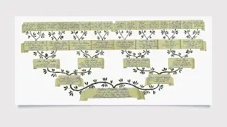 genealogy explained