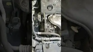Alternator whining noise!