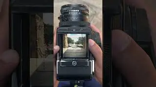 BellaCollina country club through the #hasselblad #photography #viewfinder #shorts #florida