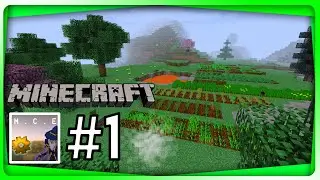 MC Eternal Let's Play Series Episode 1! PROPELLER HAT!