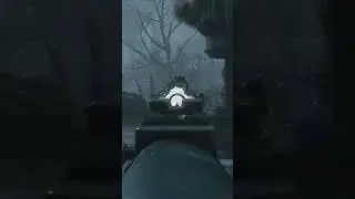BO2 Panzer против BO3 Panzer