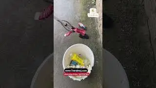Garbage Lifting Stick &ndash; Easy Waste Picker Tool for Clean Surroundings #shorts ##GarbageStick