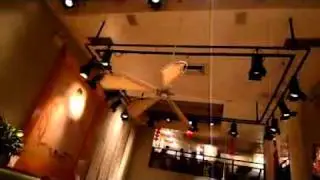 OLLIES  Noodle Shop - Chinese restaurant - Manhattan - NEW YORK