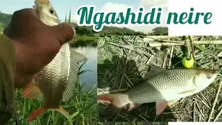 Manipur fishing khoi mela|| mafam Ishok ticket Rs.700 &radic;&radic; 🎣🎣🎣🐟🦈🐟