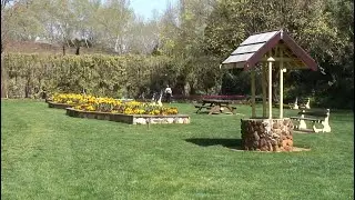 Southern Highlands Gardens, NSW, Australia