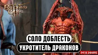 Baldur's gate 3 | Усложненная Доблесть | Новый Класс | !Персонаж !Дикая !Усложнения !моды
