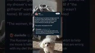 Twitter story #funny #fyp #viralvideo