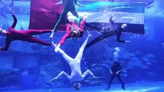 UAE 🇦🇪 NATIONAL DAY MERMAID SHOWS
