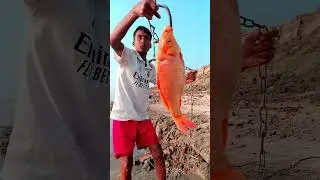 Unbelievable Fishing Skill 😱🎣 | Big Fish Catch