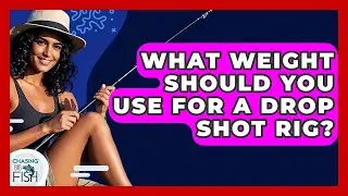What Weight Should You Use For A Drop Shot Rig? - Chasing Big Fish