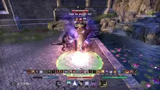 Magicka Sorcerer 1-Pet 100k+ - Markarth - BH_NUNES
