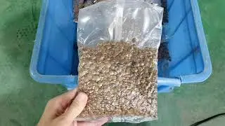 vaccum packing machine with multiheads weigher ,vertical packing machine