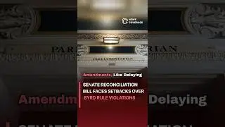 Parliamentarian: Senate Reconciliation Bill Faces Setbacks Over Byrd Rule Violations #politics