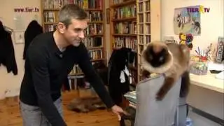 Der Kater des Wladimir Kaminer