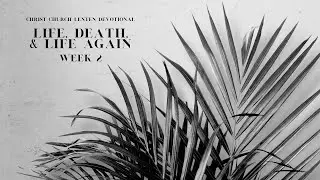 Lenten Devotional 2024: Week 2