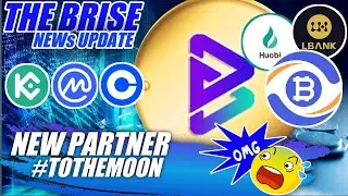 Bitgert Brise Update| New Partner ⁉️ To the moon 🚀