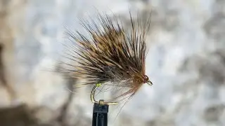 Hare's Ear Sedgehog